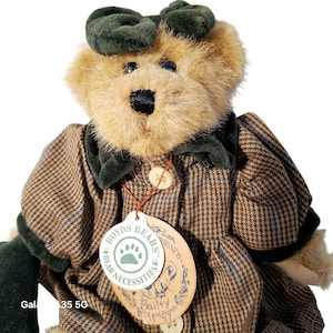 May include: A brown and tan teddy bear wearing a brown and blue plaid dress with a green velvet collar and a green bow. The bear is holding a green velvet bag. The bear has a tag that says "Boyds Bears Friends Bear Necessities Bailey and Friends".