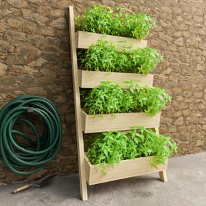 Peut inclure: Un jardinière verticale en bois avec cinq bacs rectangulaires remplis de plantes vertes. La jardinière est adossée à un mur en pierre. Un tuyau d'arrosage vert et une petite truelle sont visibles à gauche.