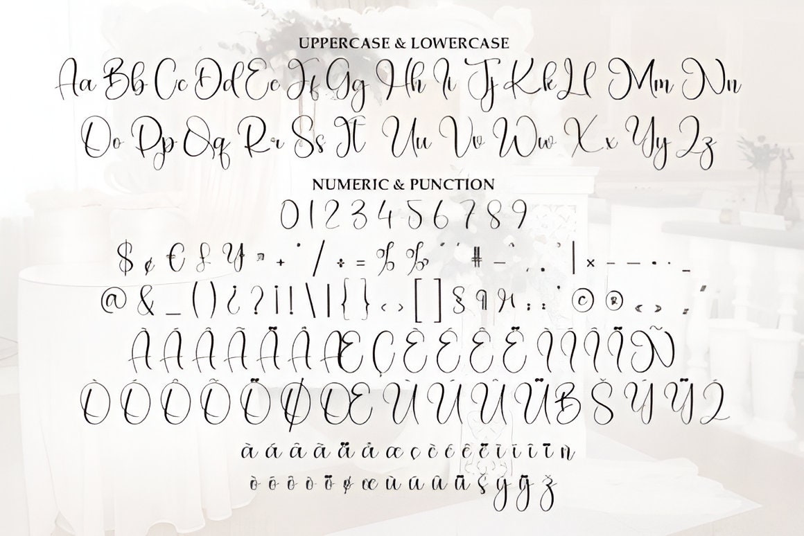 Calligraphy Font Bundle, Wedding Font Bundle, Handwritten Font, Script ...