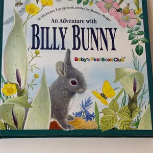 An Adventure With Billy Bunny Interactive Pop Up Book Easter Vintage Children’s Book Hardcover