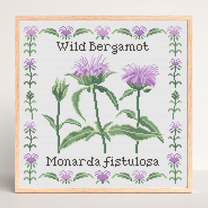 Wilde bergamot, Monarda fistulosa kruissteekpatroon - modern, Cottagecore-patroon Instant download pdf - Xstitch-tabel geneeskrachtige plant