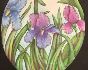 Mixed Media Irises