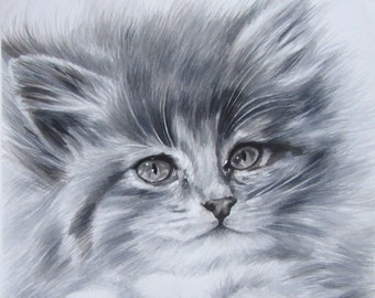 Gray Kitten 14 X 13.5" Original Kitten Cat Watercolor Painting on Paper