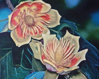 Tulip Poplar Flower Giclee Art Print 11 x 14"