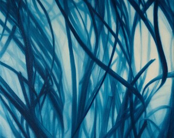 Eelgrass Blue Water Plant Giclee Art Print 11 x 14"