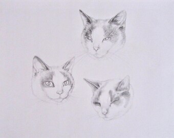 CUSTOM COMMISSION ART Original 14 X 11" Graphite Triple Pet Portrait