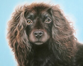 CUSTOM COMMISSION ART Original 12 X 12" Oil on Canvas Dog Pet Portrait