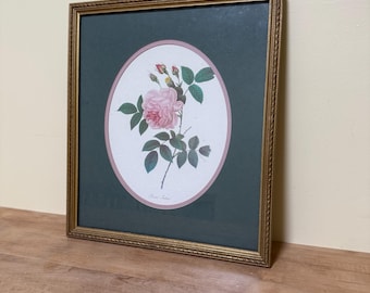 Framed Vintage Rose Botanical Print