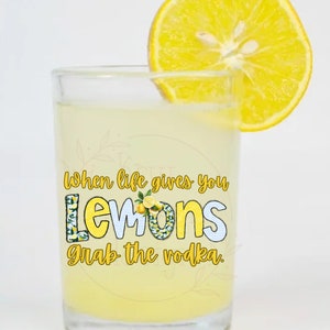 Prendi la vodka png