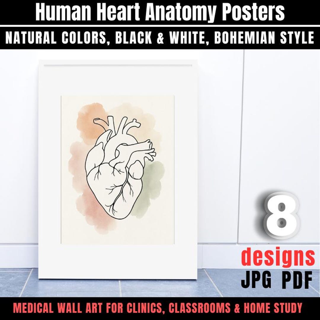 Human Heart Anatomy Posters: Medical Wall Art,digital Download - Etsy