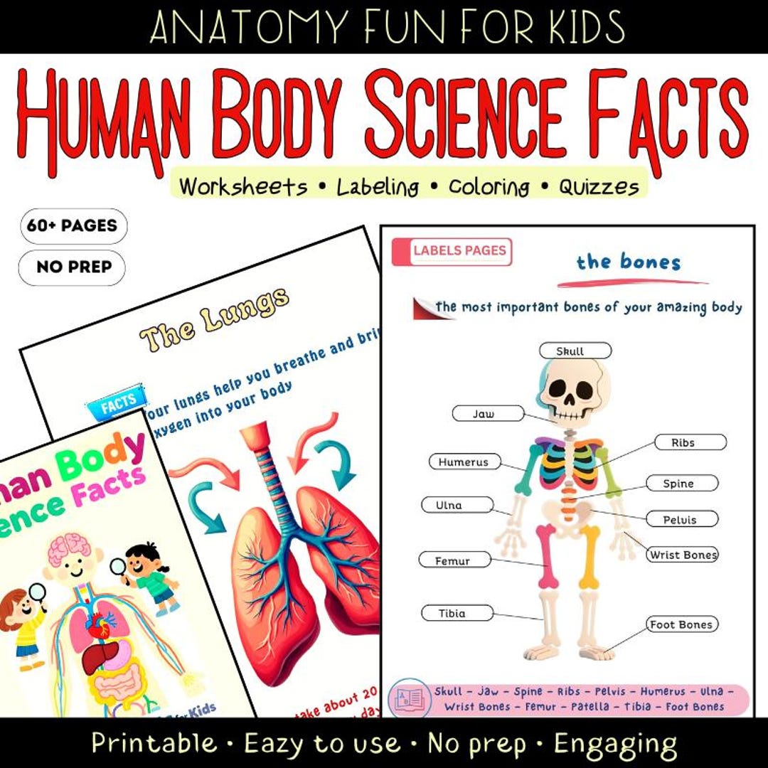 human-body-science-facts-for-kids-60-pages-anatomy-guide-fun-facts