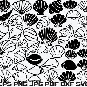 May include: Black and white seashell vector graphics. Various shell shapes and sizes are arranged on a white background. The image includes text at the bottom: EPS PNG JPG PDF DXF SVG.