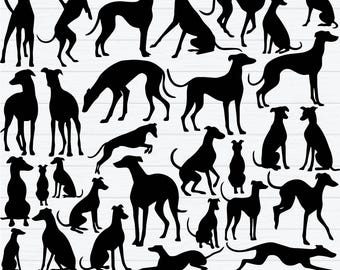 Greyhound Svg Bundle, Greyhound Dog Svg, Greyhound Clipart, Greyhound Cut Files For Cricut, Greyhound Race Svg, Race Dog Svg, Dog Cut Files