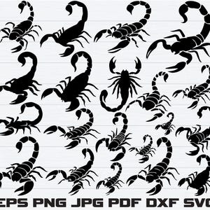 May include: A collection of black scorpion silhouettes in various poses. The image features multiple scorpion designs, perfect for digital art projects. The image includes file type labels: EPS, PNG, JPG, PDF, DXF, and SVG.