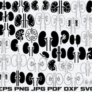 May include: A collection of black kidney illustrations in various styles, including solid and outlined designs. The image features multiple kidney shapes, some with attached tubes, set against a white background. The bottom of the image displays file type abbreviations: EPS, PNG, JPG, PDF, DXF, SVG.