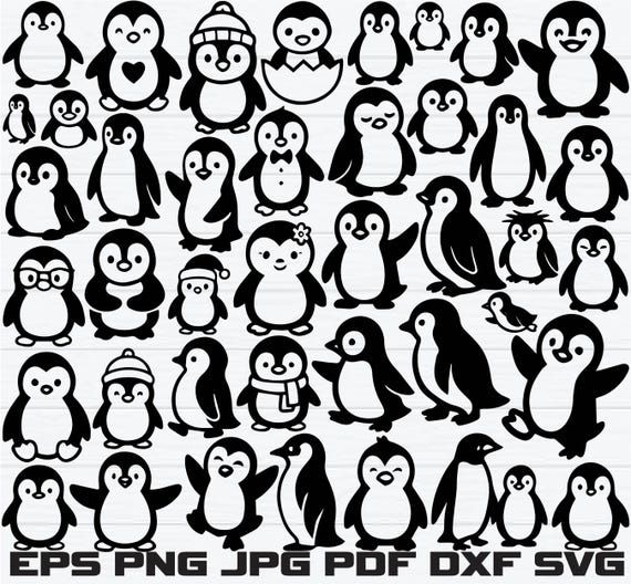 Cute Penguin Svg Bundle, Cute Penguin Clipart, Penguin Svg Cut Files For Cricut, Penguin Silhouette. Penguin Baby Svg For Commercial Use