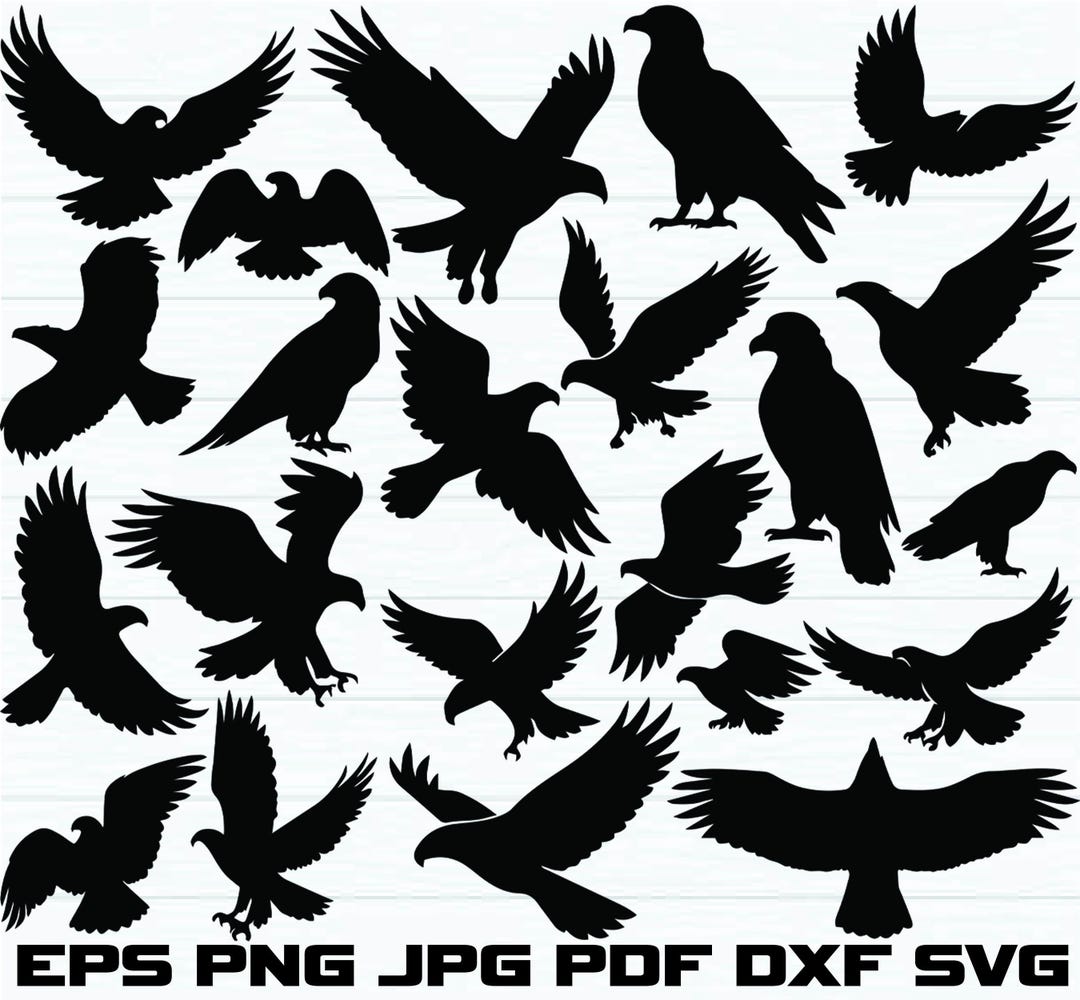 Eagle Svg Bundle, Eagle Png Bundle, Eagle Clipart, Eagle Cut Files for ...