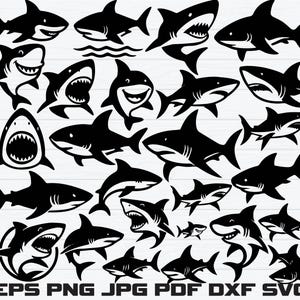 Sharks Svg Bundle, Sharks Clipart, Sharks Cut Files For Circut, Sharks Silhouette, Sharks Fish Svg, Sea Sharks Svg, Outlined Shark Svg,Png