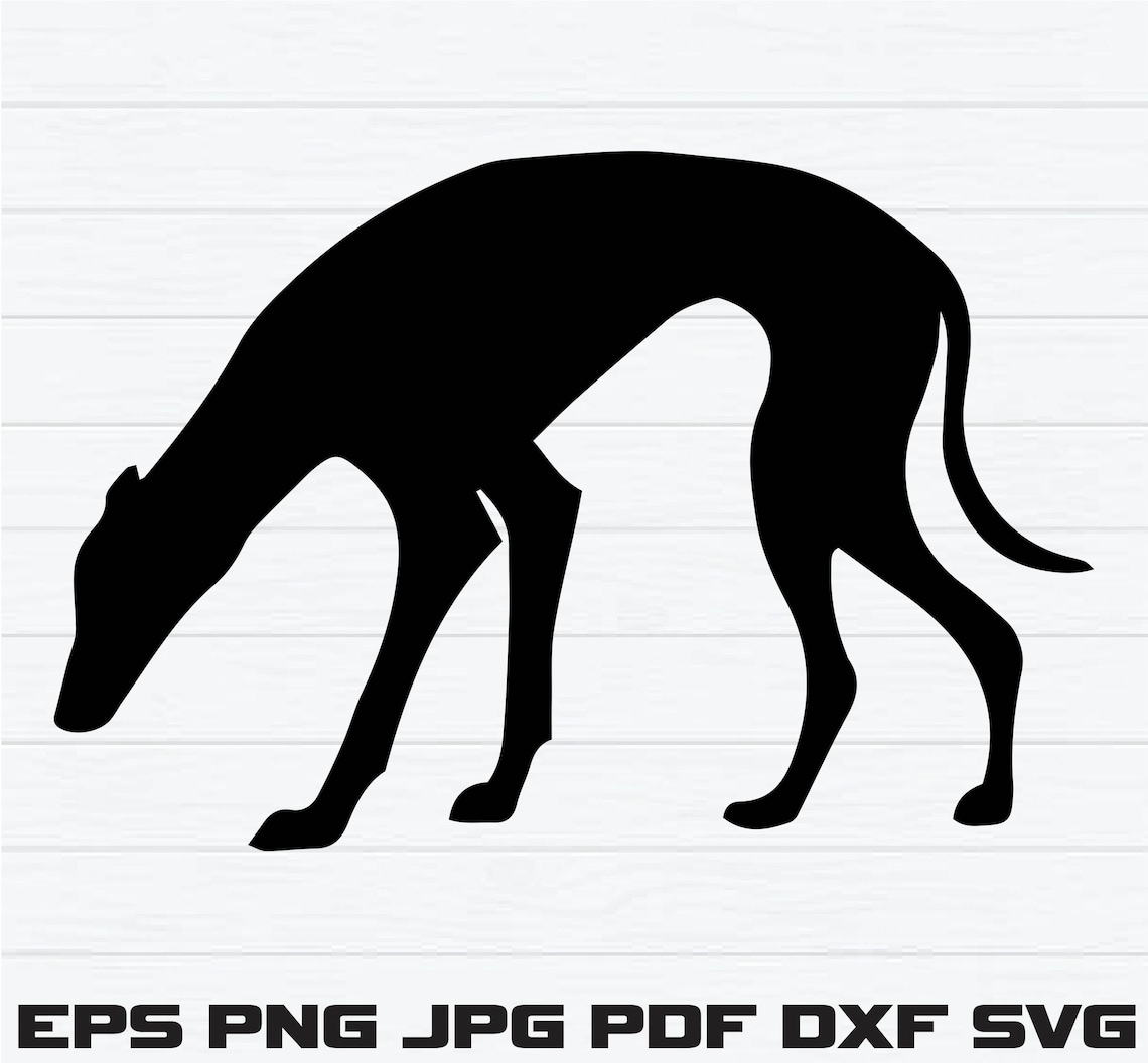 greyhound-svg-bundle-greyhound-dog-svg-greyhound-clipart-greyhound