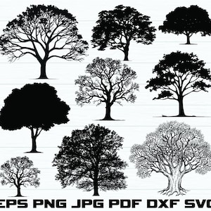 Boom Svg-bundel, boom Clipart, boom gesneden bestand voor Circut, boom Vector, Boom silhouet, boom Vector, zomer boom Svg, winter boom Svg, Png, Dxf