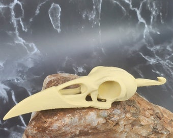 Ergonomische haaknaald Skull Raven Spooky Animal Skull Display Horror Nerd Cottage Core 3D Gedrukt Inline Haak 8mm Haak