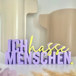 Puede incluir: Un letrero decorativo en lavanda y amarillo con la frase alemana «ICH HASSE MENSCHEN». Las letras 3D están sobre una superficie blanca. Dos jarrones beige están en el fondo. Un objeto decorativo.