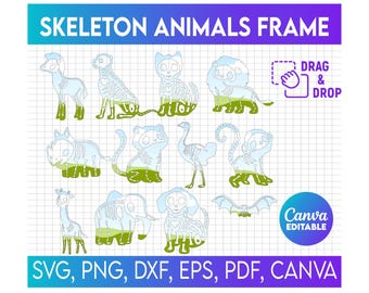 12 Skeleton Animal Canva Frame, Skeleton Animal Clipart Bundle, Cute Halloween Animal PNG, Canva Frame Template bundle, drag and drop canva
