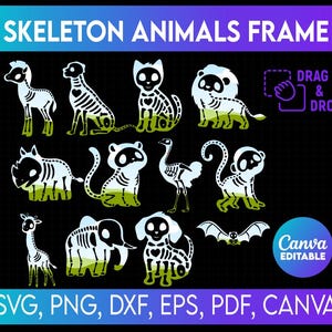 12 skelet dier canvas frame, skelet dier clipart bundel, schattige Halloween dier png, canvas frame sjabloon bundel, canvas slepen en neerzetten