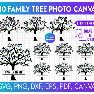 Peut inclure: Conception numérique avec dix illustrations d'arbres généalogiques avec des feuilles en forme de cœur. Chaque arbre a un espace pour un nom de famille. Le design comprend le texte "10 FAMILY TREE PHOTO CANVA".