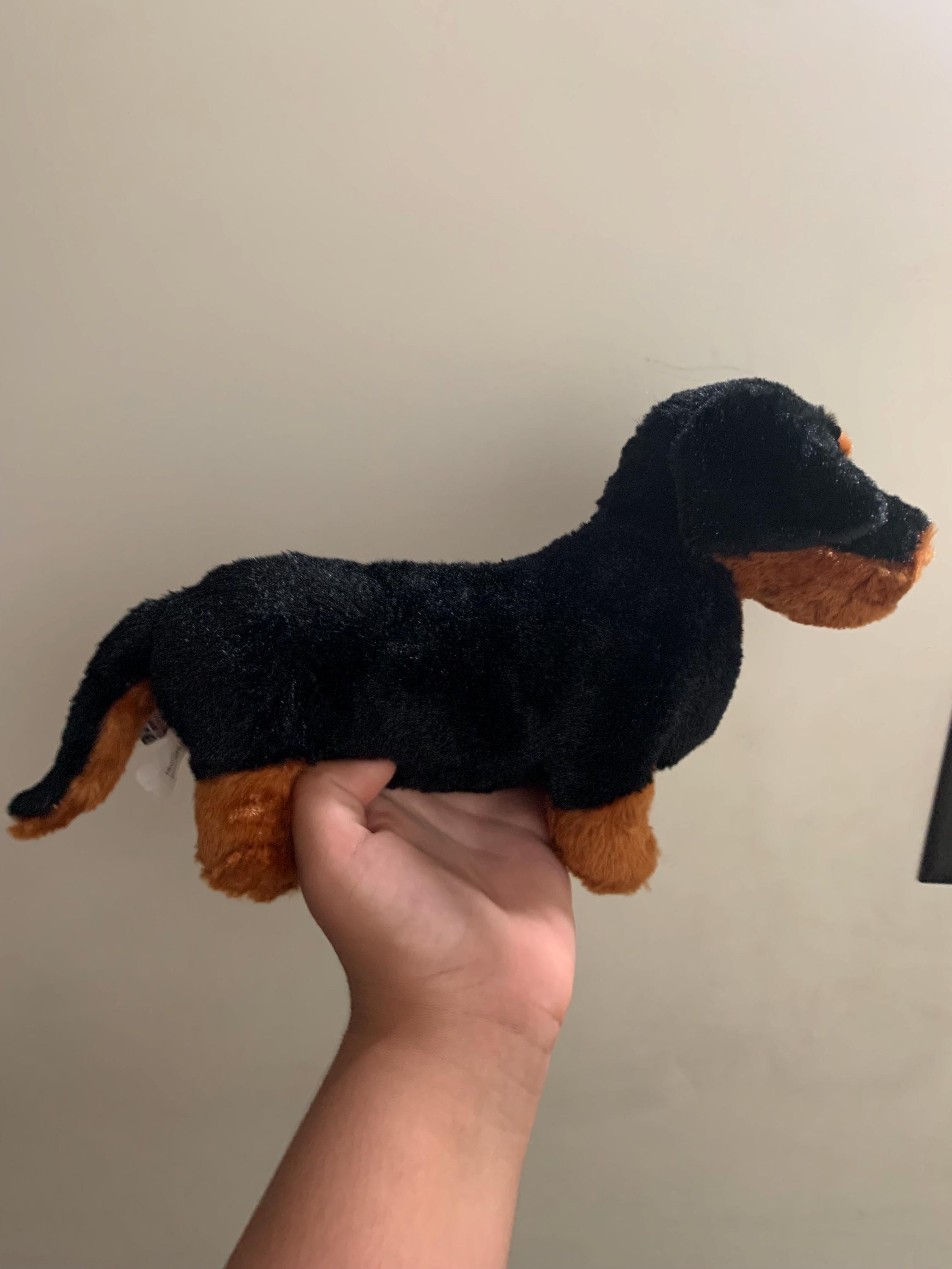 Stuffed Animal Dogs Essa