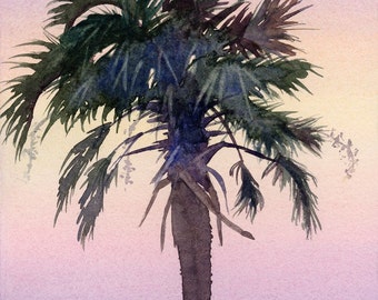 Sunrise Palm tree silhouetted against the sky