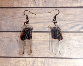 Dragonfly double dangle earrings - Real whole butterfly wings earrings