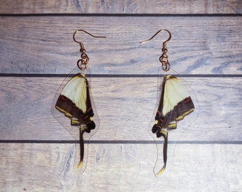 Swallowtail butterfly dangle earrings- Real whole butterfly wings earrings - cruelty free butterfly wings made into jewelry