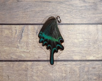 Peacock swallowtail butterfly necklace - Real whole butterfly wing jewelry - cruelty free wings made into jewelry