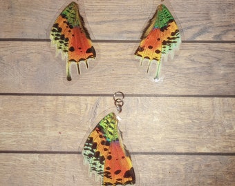 Sunset Moth dangle earrings and necklace - Real whole butterfly wings earrings