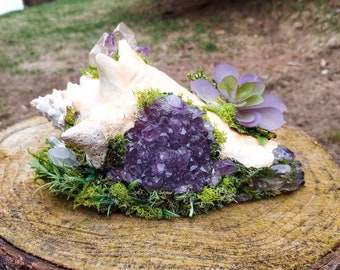 Deluxe Crystal fairy druzy amethyst conch shell- XxLarge- ready to ship