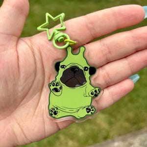 May include: A green pug-shaped keychain with a star-shaped clasp. The pug has black ears, eyes, and a nose, with its body in a light green color. The keychain is held against a blurred green background.