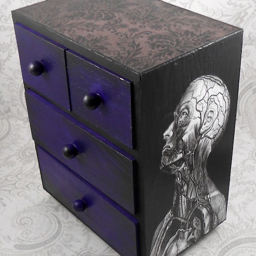 Black and White Vintage Anatomy Stash Jewelry Box Etsy