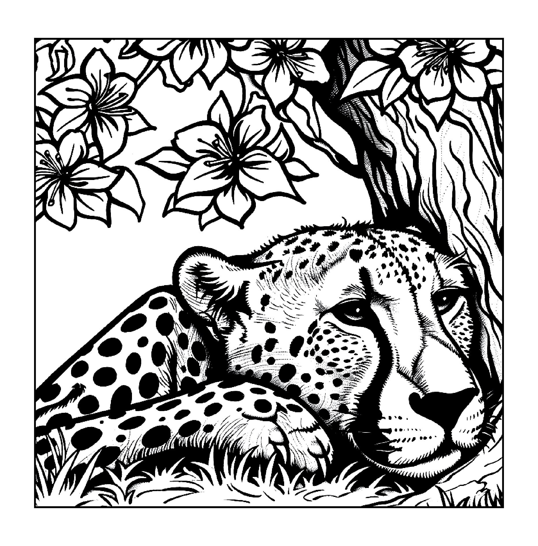 Coloring Pages-adults & Big Kids - Etsy