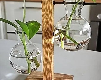 Vintage Glass Terrarium with Hydroponic Vase, Wooden Frame, and Tabletop Plants for Home Decor and Bonsai