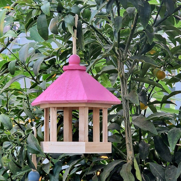 Charming Hanging Garden Feeder in Pink or Blue - Wooden Birdhouse | Bird feeding station