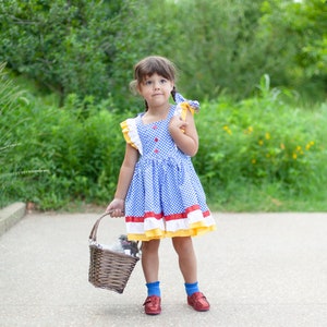 Dorothy Costume, Dorothy Dress, Dorothy Inspired Costume, Wizard of Oz Costume, Wizard of Oz, Halloween Costume, Birthday Party Dress