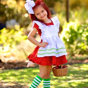 Strawberry Shortcake Costume, Strawberry Costume, Halloween Costume, 80's Costume, Strawberries