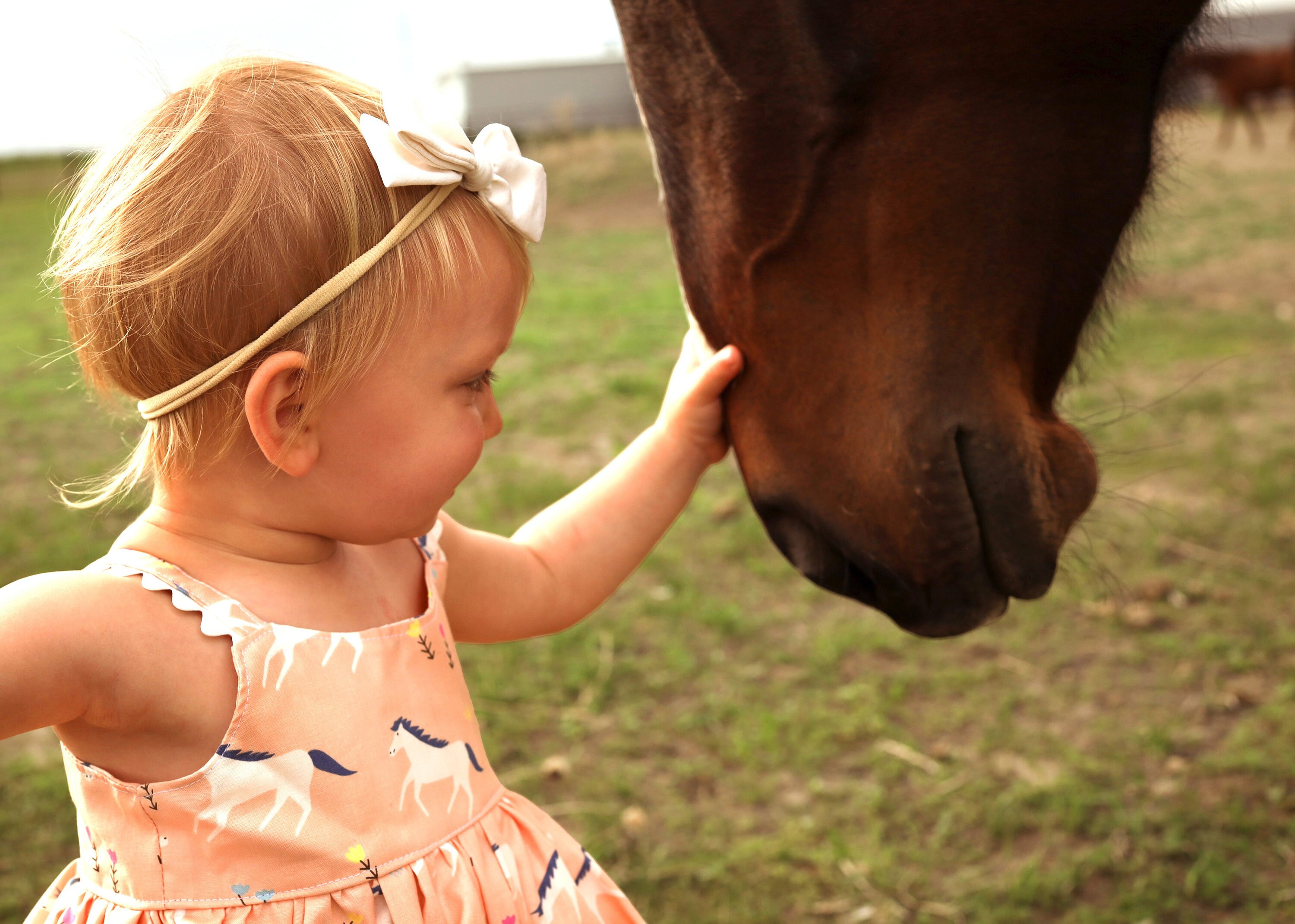 Little girl horse dress clearance