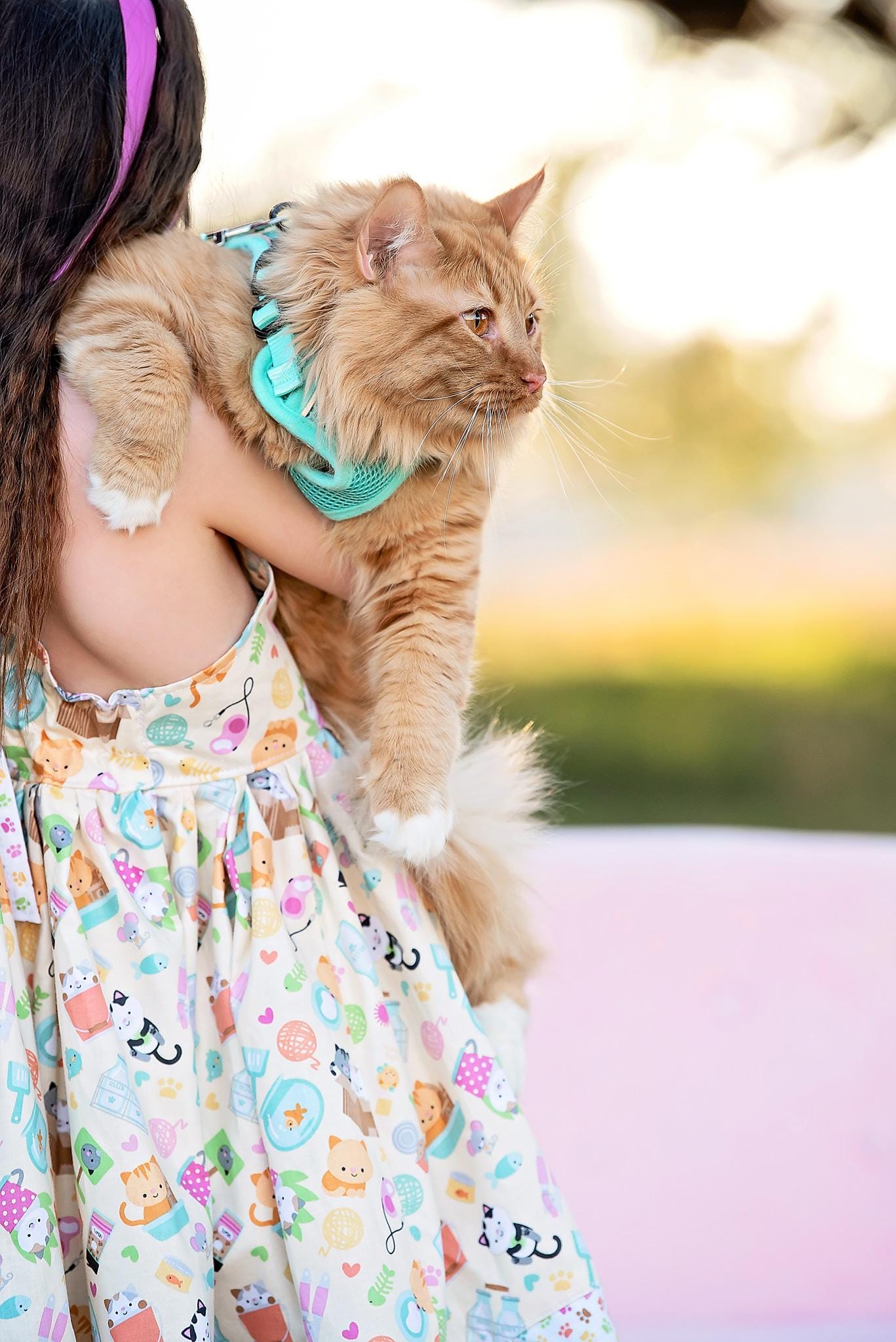 cat party dress Bolbove Ipet Floral Princess Cat Party Dress Small Dog Tutu Ball Gown With Flower Puppy Multilayer Lace Mesh Skirt With Dot Doggy Photo Apparel Doggie