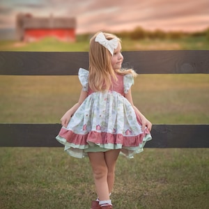Vestido de fazenda para meninas, Aniversário de fazenda para meninas, Na fazenda, Vestido de fazenda para bebês, Festa de aniversário na fazenda, Caramba, eu sou um, Vestido de vaca Moo Moo, eu sou dois