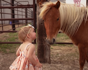 Robe cheval fille, haut cheval fille, robe cheval bébé, haut cheval