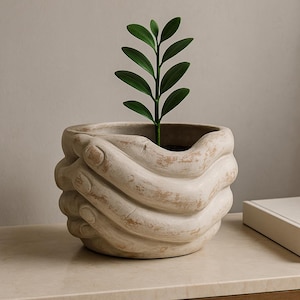 Puede incluir: Una maceta de cerámica beige con forma de manos entrelazadas, con una planta verde en su interior. La maceta tiene un aspecto envejecido y texturizado. La planta tiene múltiples hojas verdes. La maceta está sobre una superficie clara.
