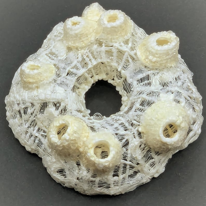 Barnacle Sculptural Brooch - Hand-drawn Large 3d Art - Statement ...