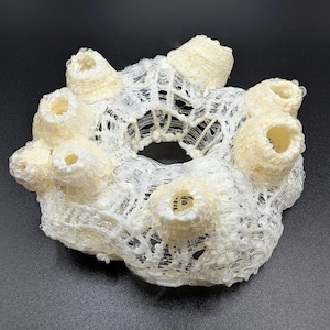 May include: A cream-colored, abstract sculpture with a porous, coral-like design. The sculpture features multiple cylindrical protrusions and a central opening. The intricate structure is made of a web-like material, creating a unique texture and visual appeal.